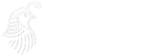 qsc-website-logo